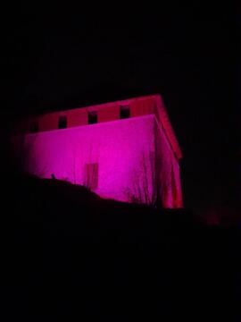 Ob svetovnem dnevu hereditarnega angioedema (HAE) bosta Stražni stolp Malega gradu in Dom kulture Kamnik osvetljena v rožnati barvi